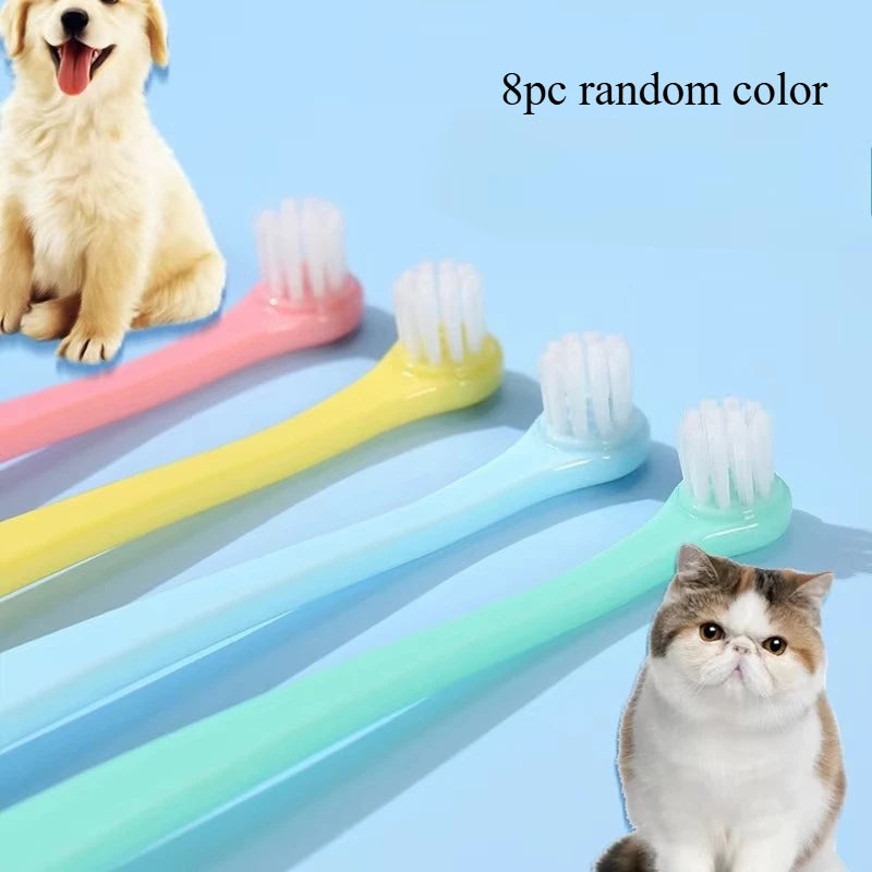 Sc77333f364474b8b95636250b23405d6N